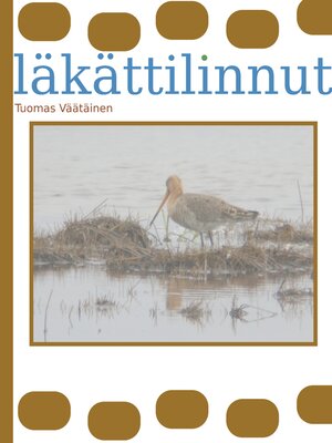 cover image of läkättilinnut